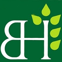 Logo Camping Beans-Hill